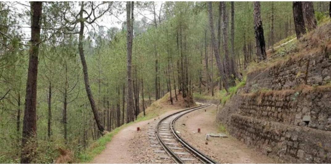 The Heritage Home Kasauli I Pine View Serviced Villa I Best Seller I Vacations I Family Events I Sky Bonfire I Kasauli By Exotic Stays Eksteriør billede