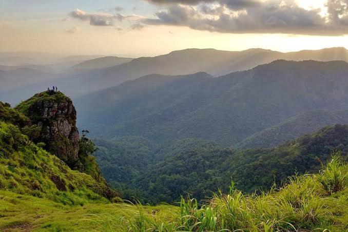 The Heritage Home Kasauli I Pine View Serviced Villa I Best Seller I Vacations I Family Events I Sky Bonfire I Kasauli By Exotic Stays Eksteriør billede