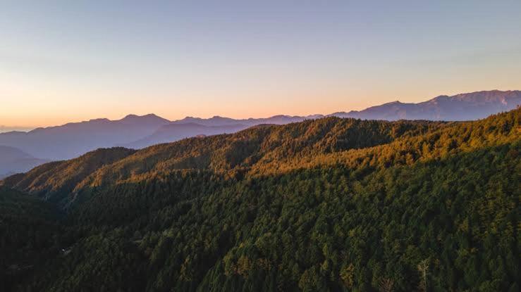 The Heritage Home Kasauli I Pine View Serviced Villa I Best Seller I Vacations I Family Events I Sky Bonfire I Kasauli By Exotic Stays Eksteriør billede