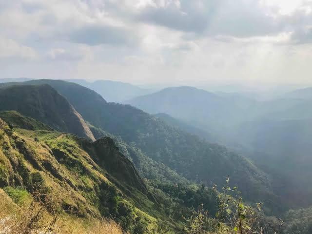 The Heritage Home Kasauli I Pine View Serviced Villa I Best Seller I Vacations I Family Events I Sky Bonfire I Kasauli By Exotic Stays Eksteriør billede