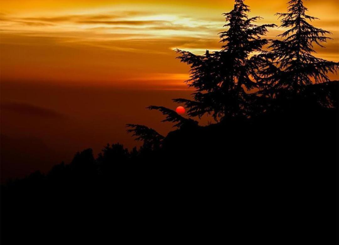 The Heritage Home Kasauli I Pine View Serviced Villa I Best Seller I Vacations I Family Events I Sky Bonfire I Kasauli By Exotic Stays Eksteriør billede